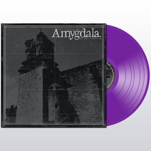 Amygdala - Our Voices Will Soar Forever on Violet Vinyl